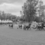 hippodrome aarau