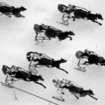 course trot sur neige saint moritz