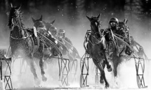 trot attele saint moritz